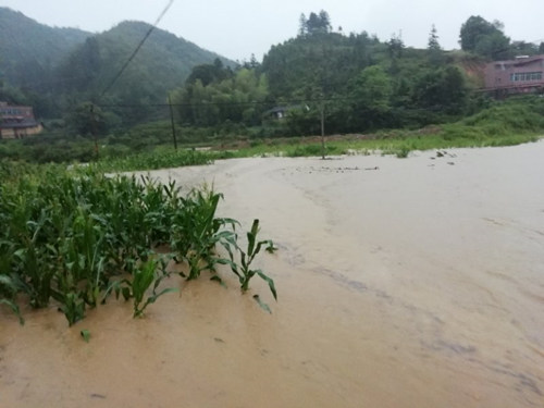 综合消息|受台风“艾云尼”影响 广东多地受灾严重
