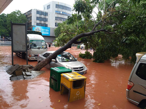 综合消息|台风“艾云尼”致广东大雨倾盆 受灾严重