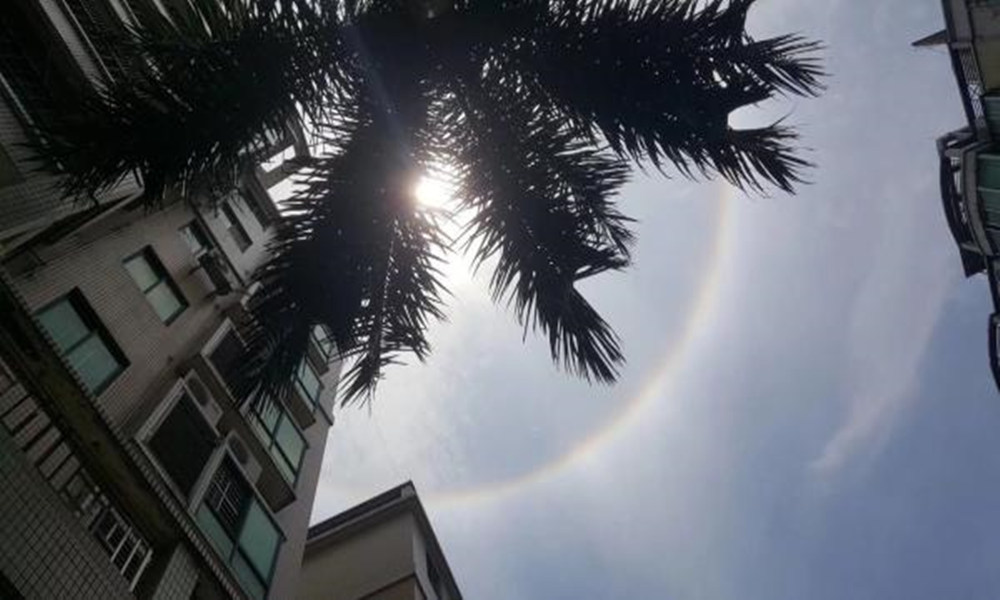 美！广东清远惊现日晕奇观