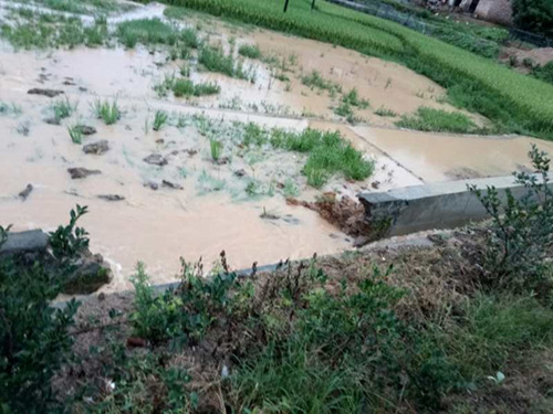 综合消息|暴雨袭击 广东龙川出现滑坡险情
