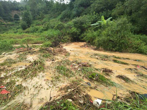 综合消息|暴雨袭击 广东龙川出现滑坡险情