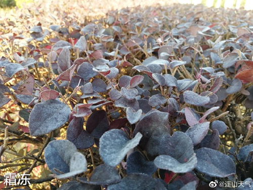 5-7日冷空气持续影响 粤北有低温