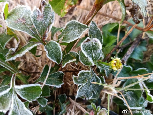 冷空气补刀 5日广东大部转阴冷粤东梅州有雨