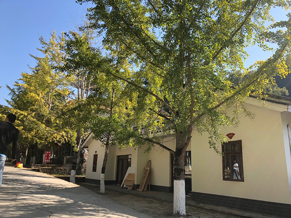 18-19日中等偏强冷空气入粤 中北部降温5～8℃