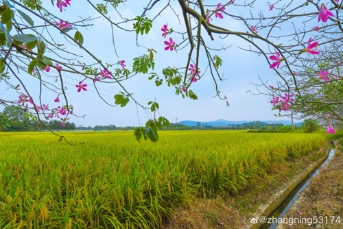 天晴干燥 注意森林防火