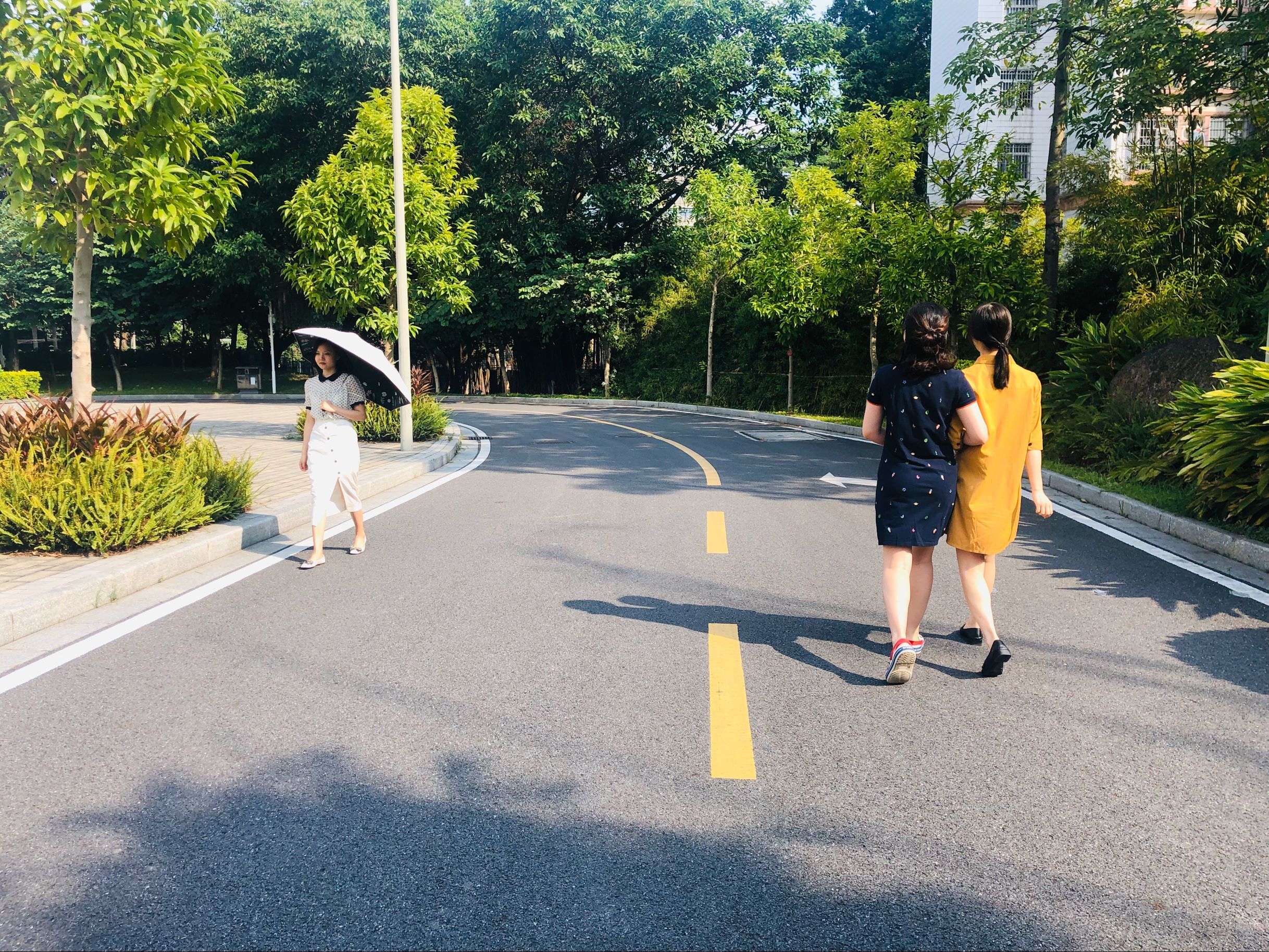 16-19日天晴干燥