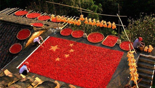 国庆假期广东天气平稳 森林火险等级高