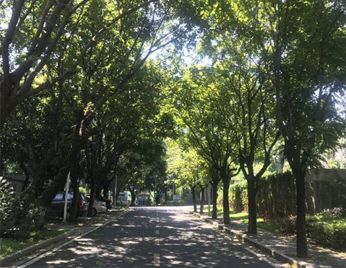 双休日继续“晴”歌高唱 注意森林防火