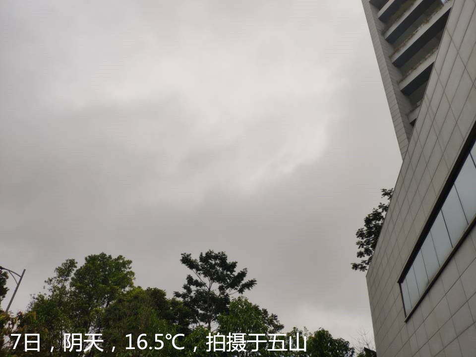 1581046117661053301.jpg QQ图片20200207112125.jpg