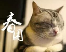 赶跑&ldquo;春困&rdquo;，神清气爽