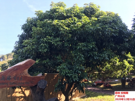 1611026054254087170.jpeg 5.jpeg