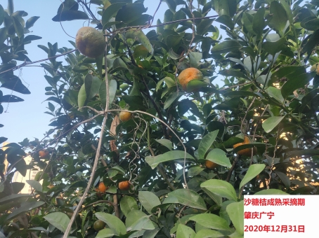 1611026061518062991.jpeg 6.jpeg