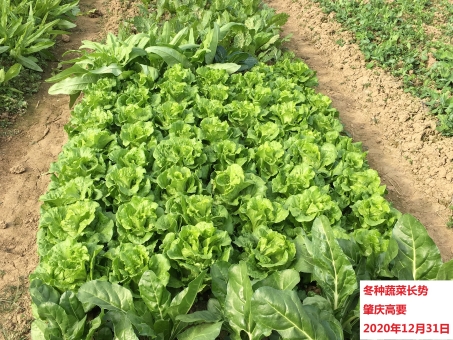 1611026068115091206.jpeg 7.jpeg