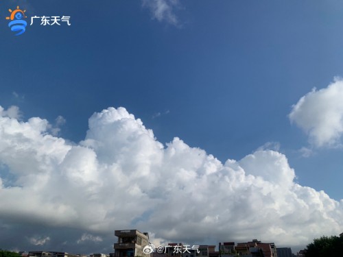 1720407556251091240.jpg 0708-0_副本.jpg