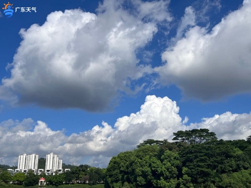 1720494195082058732.jpg 0709-0_副本.jpg