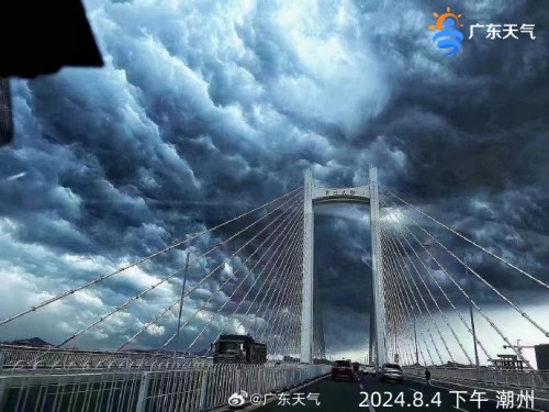 1722827631182066974.jpg 0805-0_副本.jpg