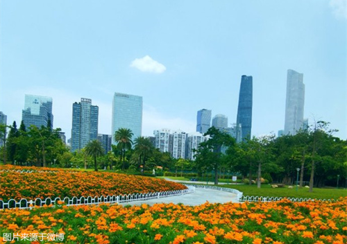 1723004133782043862.jpg 008ayUXqgy1hsf149u2cfj30u0140guv_副本.jpg