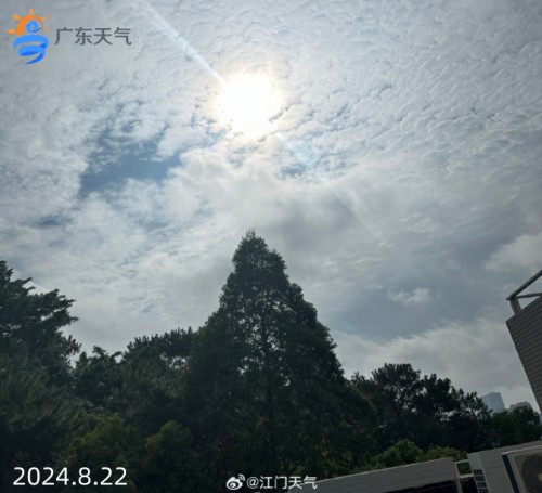 1724302891017024560.jpg 0822-0_副本.jpg