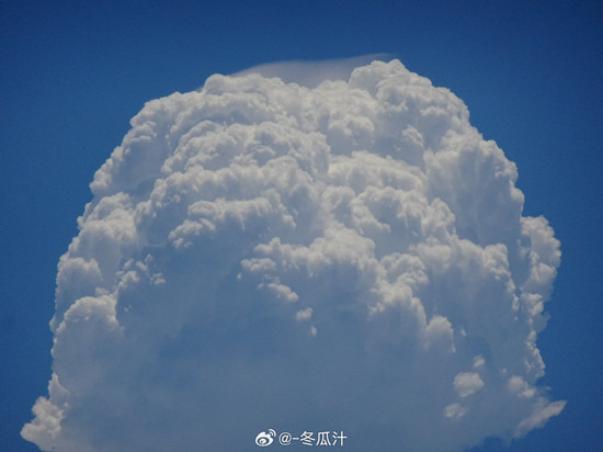 1724568556904051729.jpg 005FGmFbgy1ht044buv1ej31400u0786_副本.jpg