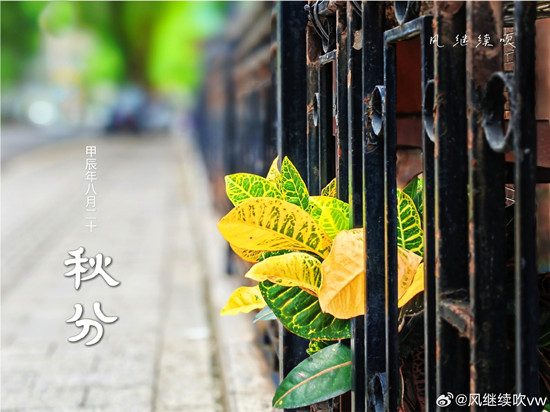 1726977488550055104.jpg 秋分_副本.jpg