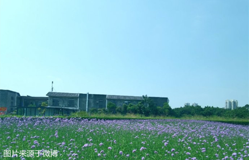 008ayUXqgy1hufwfyd0sbj30u0140th0_副本.jpg