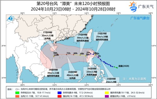 1729655290372032054.jpg 1023-1_副本.jpg