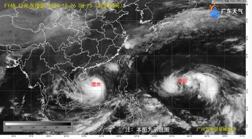 1729920035089058383.jpg 1026-1_副本.jpg