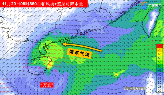 后期20日08时整层可降水量.png