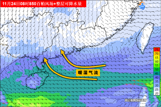 24日08时整层后期.png