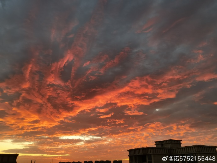 朝霞.jpg