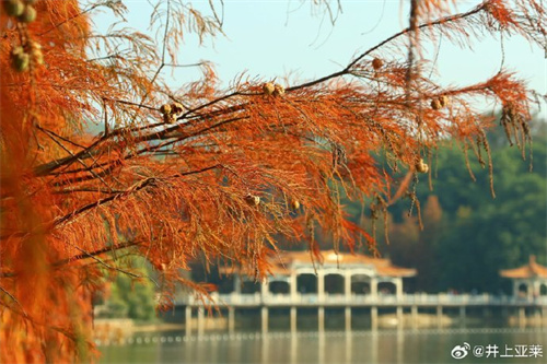 景2.jpg