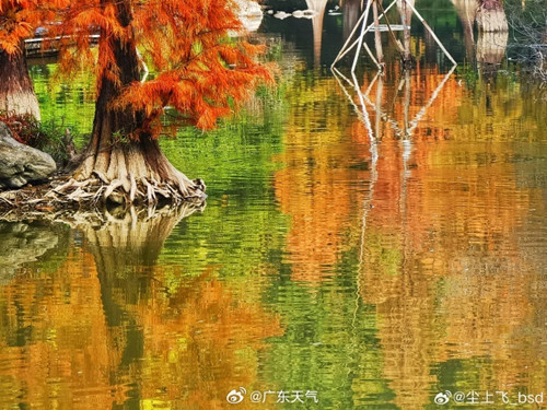 1735878821479012565.jpg 0104-00_副本.jpg