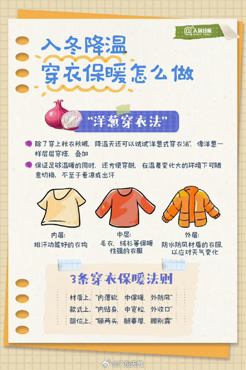 洋葱.jpg