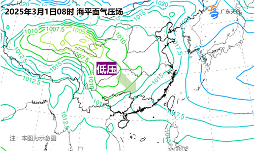 1日地面.jpg