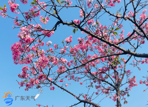 1743054841701051877.png 0327_副本.png