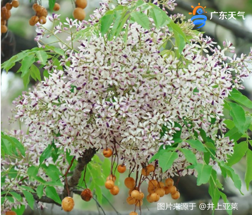 1744001596197097248.png 0407-00_副本.png