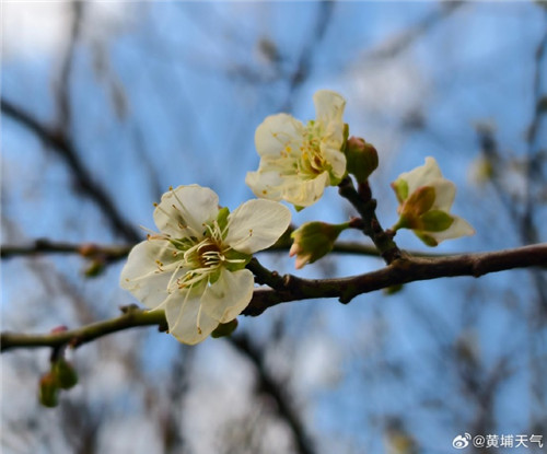 1766213092406022929.jpg 7e26dfb4gy1i8ggnobunkj22ch1y97tu.jpg