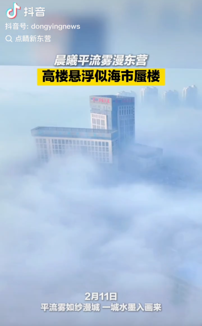 1771896421605089159.png 1771896421605089159.png