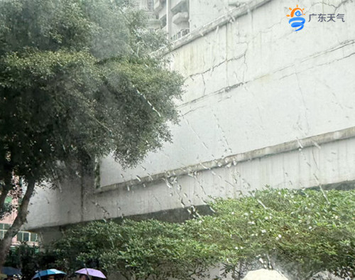 雨_副本.jpg