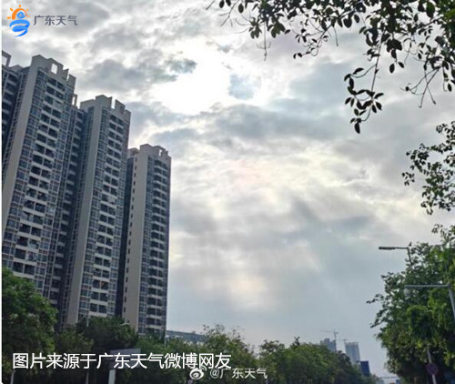 1781150066250084954.jpg 0611_副本.jpg