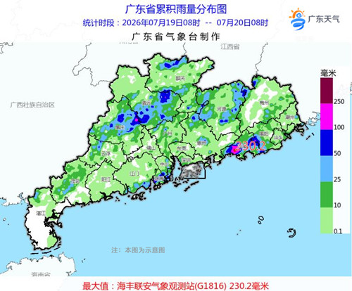 1784529650475007775.jpg r19_副本.jpg