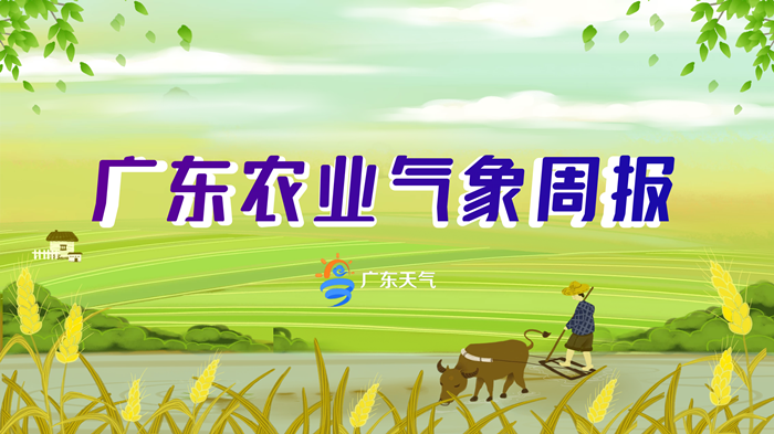 广东省农业气象周报（2026年第34期）